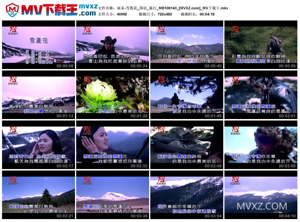 雨禾-雪莲花_国语_流行_MB108143